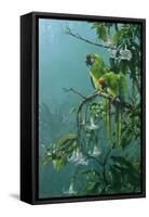 Buffons Macaws-Michael Jackson-Framed Stretched Canvas
