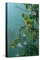 Buffons Macaws-Michael Jackson-Stretched Canvas