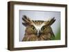 Buffy Fish Owl, Kuala Lumpur, Malaysia-Paul Souders-Framed Photographic Print