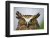 Buffy Fish Owl, Kuala Lumpur, Malaysia-Paul Souders-Framed Photographic Print