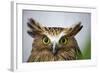 Buffy Fish Owl, Kuala Lumpur, Malaysia-Paul Souders-Framed Photographic Print