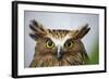 Buffy Fish Owl, Kuala Lumpur, Malaysia-Paul Souders-Framed Photographic Print