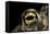 Bufo Calamita (Natterjack Toad) - Eye-Paul Starosta-Framed Stretched Canvas