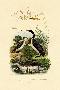 Laminate