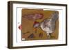 Bug Catcher 9-Maria Pietri Lalor-Framed Giclee Print