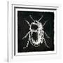 Bug Life Black-Milli Villa-Framed Art Print