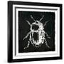 Bug Life Black-Milli Villa-Framed Art Print