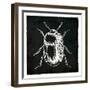 Bug Life Black-Milli Villa-Framed Art Print