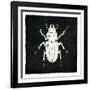 Bug Life Four Black-Milli Villa-Framed Art Print