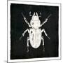 Bug Life Four Black-Milli Villa-Mounted Art Print