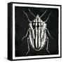 Bug Life Three Black-Milli Villa-Framed Stretched Canvas