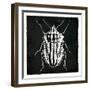 Bug Life Three Black-Milli Villa-Framed Art Print