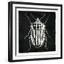 Bug Life Three Black-Milli Villa-Framed Art Print