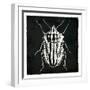 Bug Life Three Black-Milli Villa-Framed Art Print