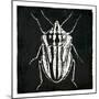 Bug Life Three Black-Milli Villa-Mounted Art Print