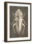 Bug Life Three-Milli Villa-Framed Art Print