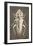 Bug Life Three-Milli Villa-Framed Art Print