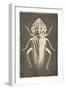 Bug Life Three-Milli Villa-Framed Art Print