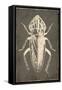 Bug Life Three-Milli Villa-Framed Stretched Canvas