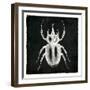 Bug Life Two Black-Milli Villa-Framed Art Print