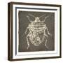 Bug Life Two-Milli Villa-Framed Art Print