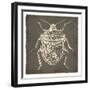 Bug Life Two-Milli Villa-Framed Art Print