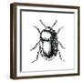 Bug Life-Milli Villa-Framed Art Print