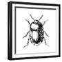 Bug Life-Milli Villa-Framed Art Print
