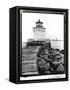 Bug Light, Portland-Laura Denardo-Framed Stretched Canvas