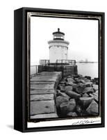 Bug Light, Portland-Laura Denardo-Framed Stretched Canvas