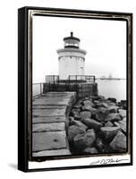 Bug Light, Portland-Laura Denardo-Framed Stretched Canvas