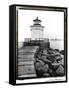 Bug Light, Portland-Laura Denardo-Framed Stretched Canvas