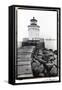 Bug Light, Portland-Laura Denardo-Framed Stretched Canvas