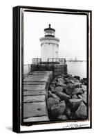 Bug Light, Portland-Laura Denardo-Framed Stretched Canvas