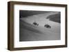 Bugatti and Bentley of Eddie Hall racing at a BARC meeting, Brooklands, Surrey, 1931-Bill Brunell-Framed Photographic Print