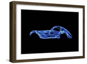 Bugatti Atlantic-Octavian Mielu-Framed Art Print