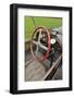 Bugatti T18 Black Bess 1913-Simon Clay-Framed Photographic Print