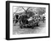 Bugatti Type 35B at Prescott, Gloucestershire, 1954-null-Framed Photographic Print