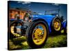 Bugatti-Stephen Arens-Stretched Canvas