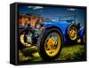 Bugatti-Stephen Arens-Framed Stretched Canvas