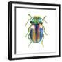 Buggin Out I-Larisa Hernandez-Framed Art Print