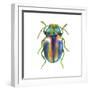 Buggin Out I-Larisa Hernandez-Framed Art Print