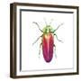 Buggin Out II-Larisa Hernandez-Framed Art Print