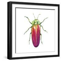 Buggin Out II-Larisa Hernandez-Framed Art Print