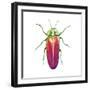 Buggin Out II-Larisa Hernandez-Framed Art Print