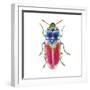 Buggin Out III-Larisa Hernandez-Framed Art Print