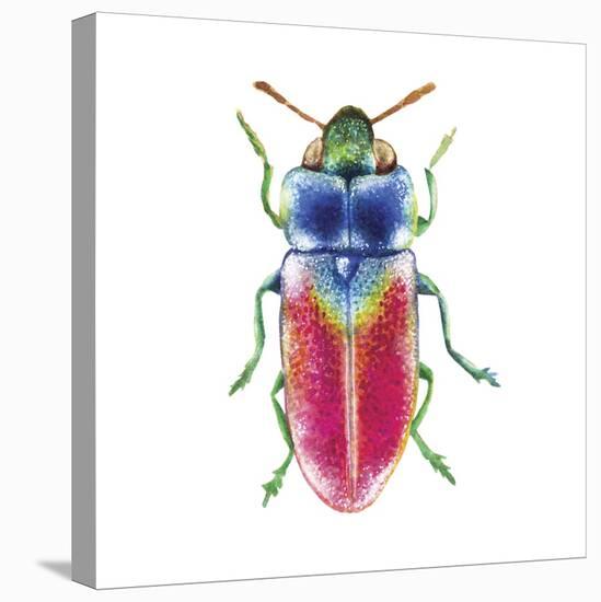 Buggin Out III-Larisa Hernandez-Stretched Canvas