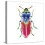 Buggin Out III-Larisa Hernandez-Stretched Canvas