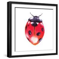 Buggin Out IV-Larisa Hernandez-Framed Art Print