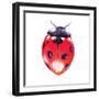 Buggin Out IV-Larisa Hernandez-Framed Art Print